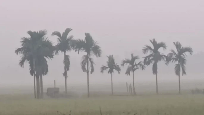 image-256584-1763878979